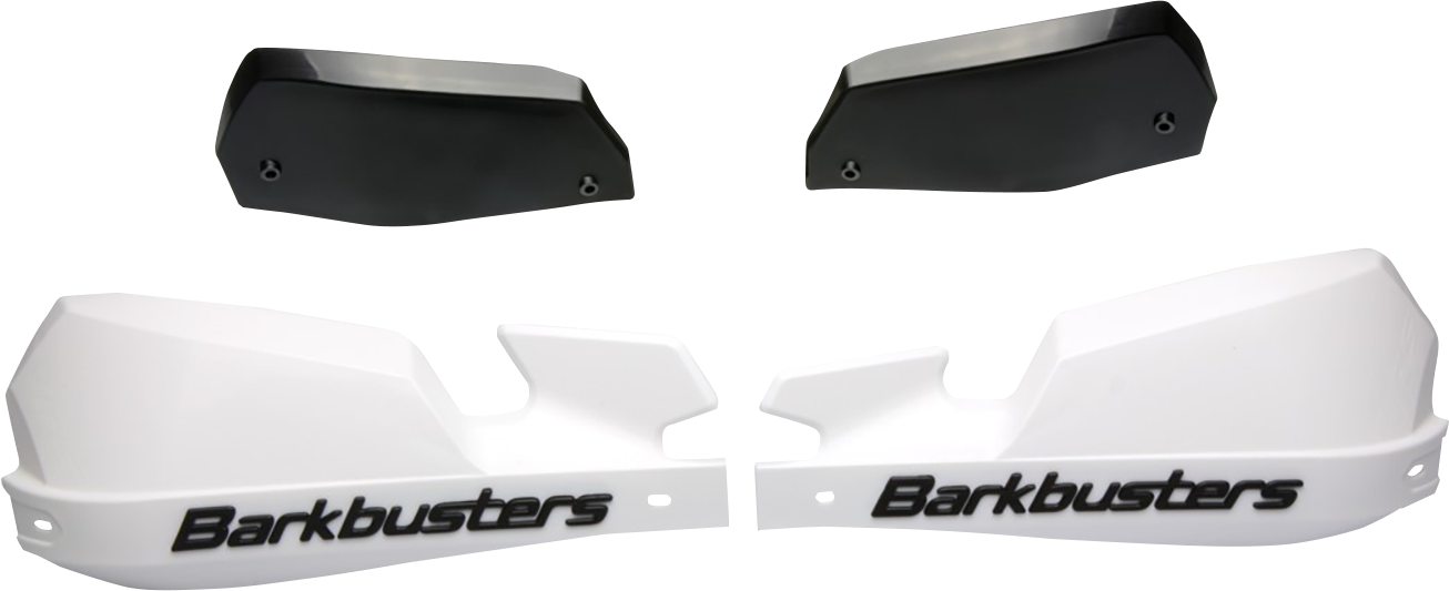 Paramani BARKBUSTERS VPS BMW R1200GS FINO AL 2012