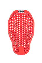 Paraschiena Alpinestars Nucleon Plasma per giacca